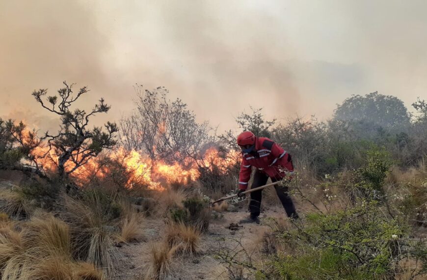 Las primeras fotos de los Bomberos que luchan contra el fuego que llegó a Tama: “El esfuerzo de los bomberos es increíble, pero no pueden ante semejante tragedia”