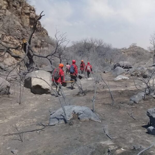 Falsas fotos, animales muertos y la orden de no hablar del tema: “Alguien decidió ocultar todo” en el incendio de Chamical