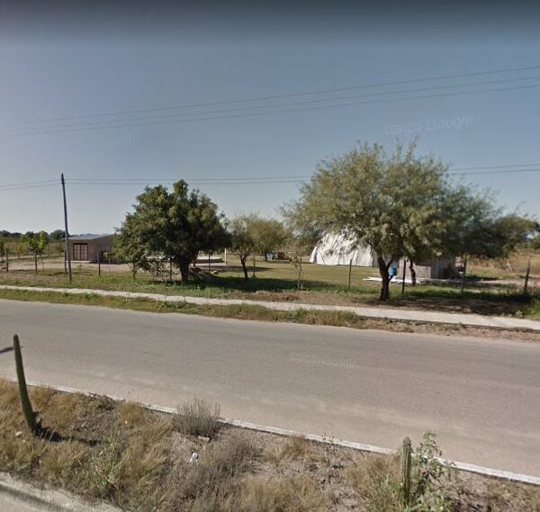 Denuncian que hombre mató a un perro porque molestaba a sus animales