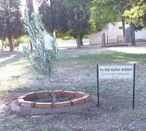 Realizaron un homenaje a los 17 médicos de La Rioja que fallecieron por la pandemia