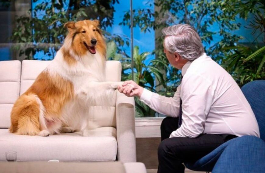 Murió Dylan, el perro de Alberto Fernández: “Me regalaste una amistad incondicional”