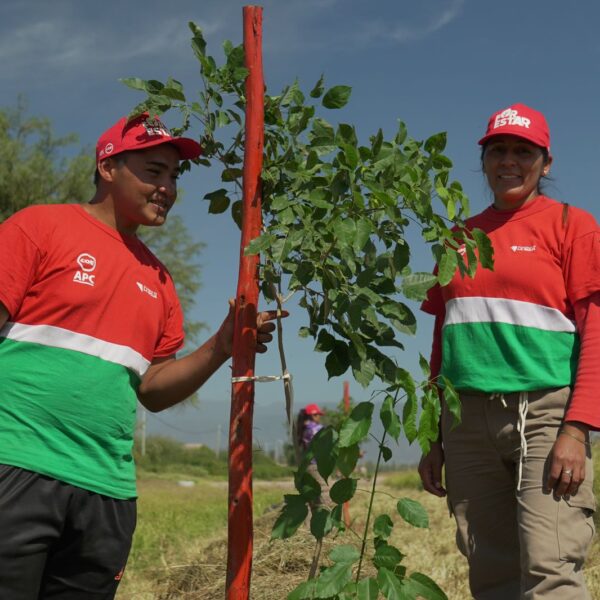 Con más de 150 nuevos árboles, avanza el Plan Provincial de Forestación