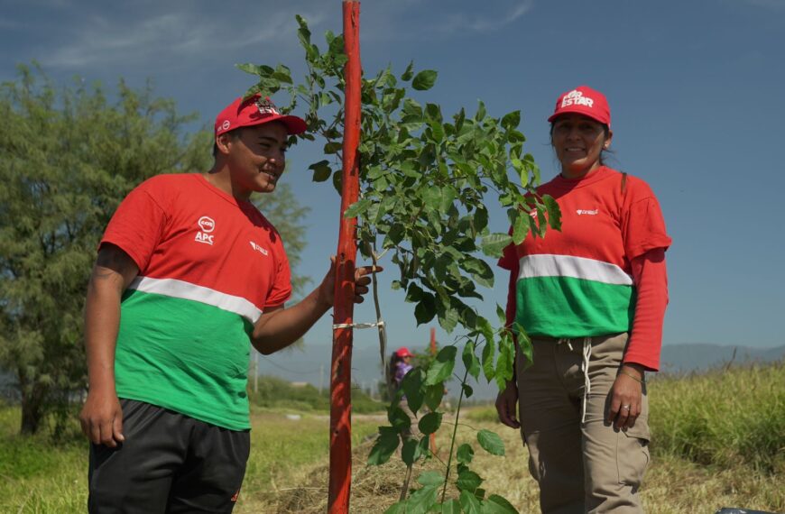 Con más de 150 nuevos árboles, avanza el Plan Provincial de Forestación