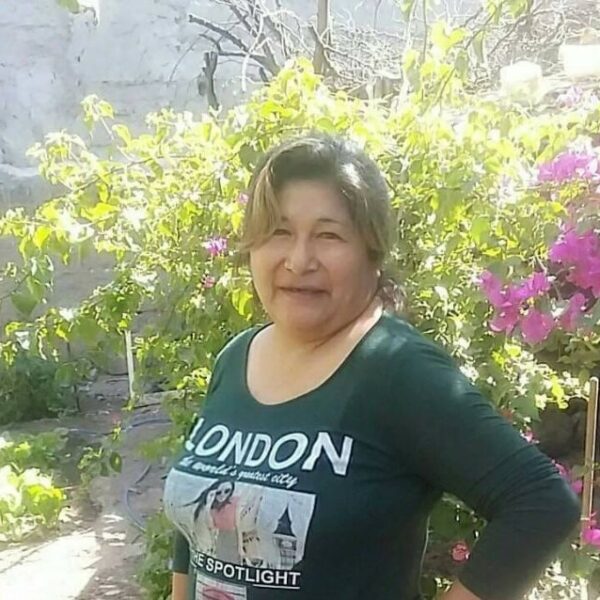 “Me la mandé”: los mensajes y la confesión del acusado de matar a Susana Romero al amigo que lo delató