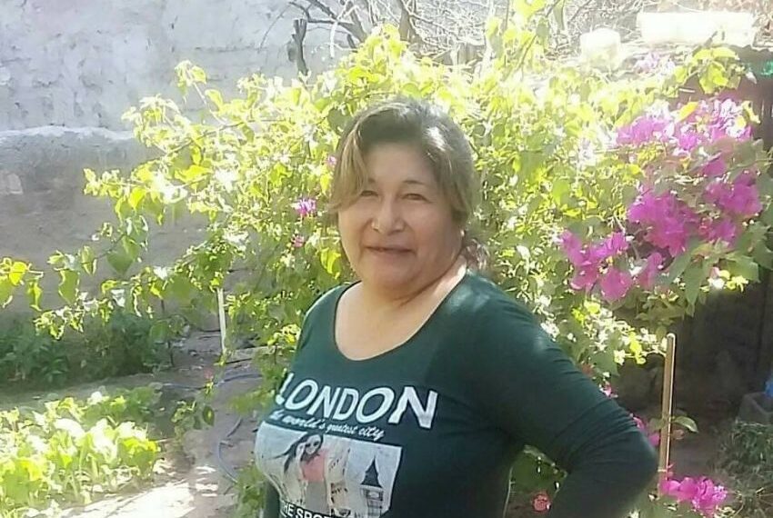 “Me la mandé”: los mensajes y la confesión del acusado de matar a Susana Romero al amigo que lo delató