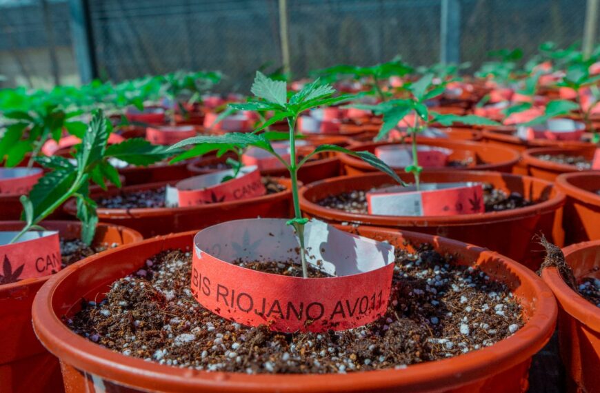 Entregaron importante donación de juguetes al Albergue Niño Alcalde