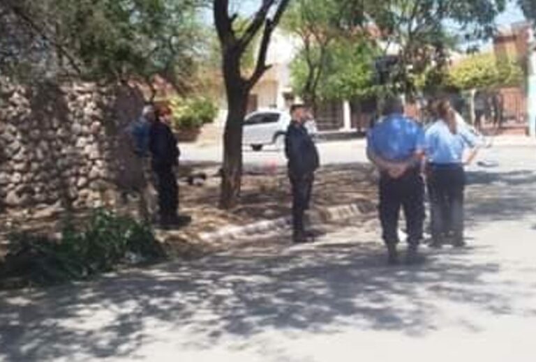 Profundo dolor por la muerte de una adolescente de 14 años en un ...