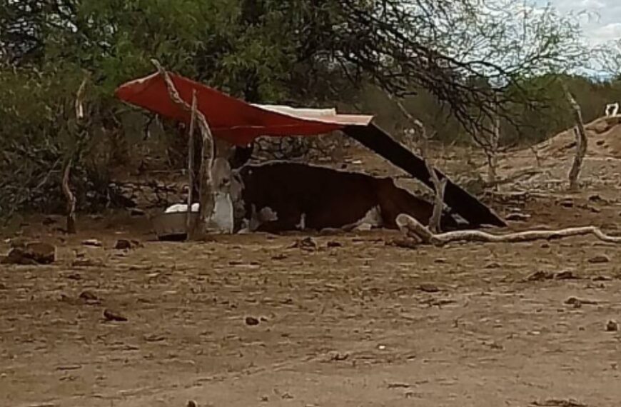 El 15% de los locales a la calle de La Rioja está cerrado