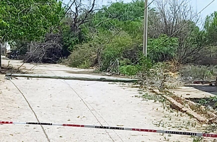 Preocupa la curva de contagiados que comenzó a subir en enero en La Rioja