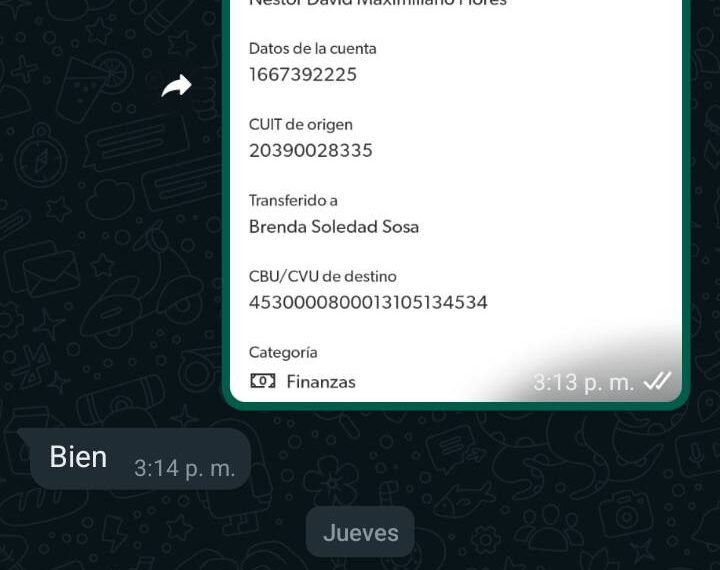 Cómo impacta el último dictamen de la fiscal en la causa por el accidente de Villa Castelli