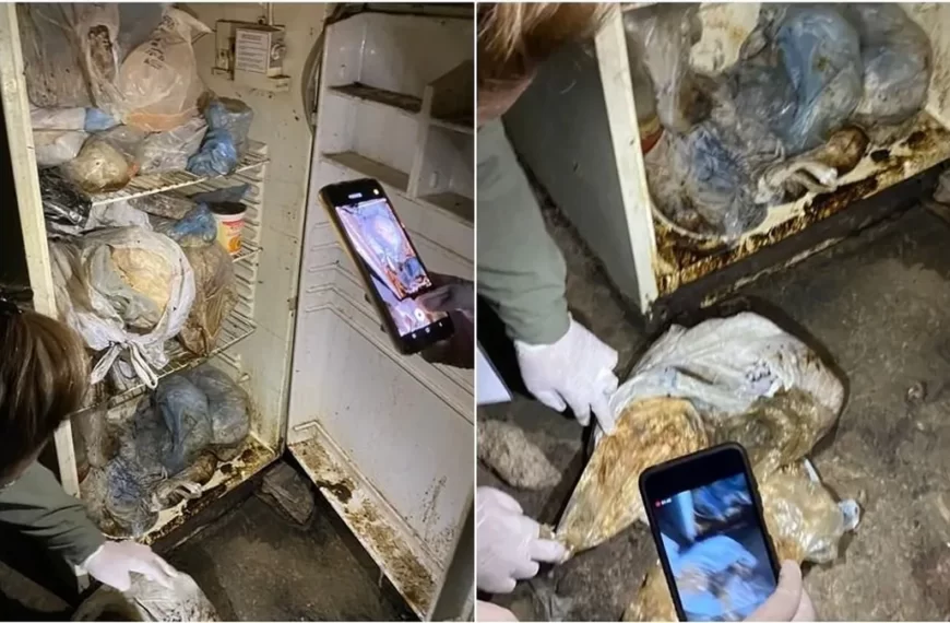 Quintela participó del Tercer Encuentro de Gobernadores del Norte Grande