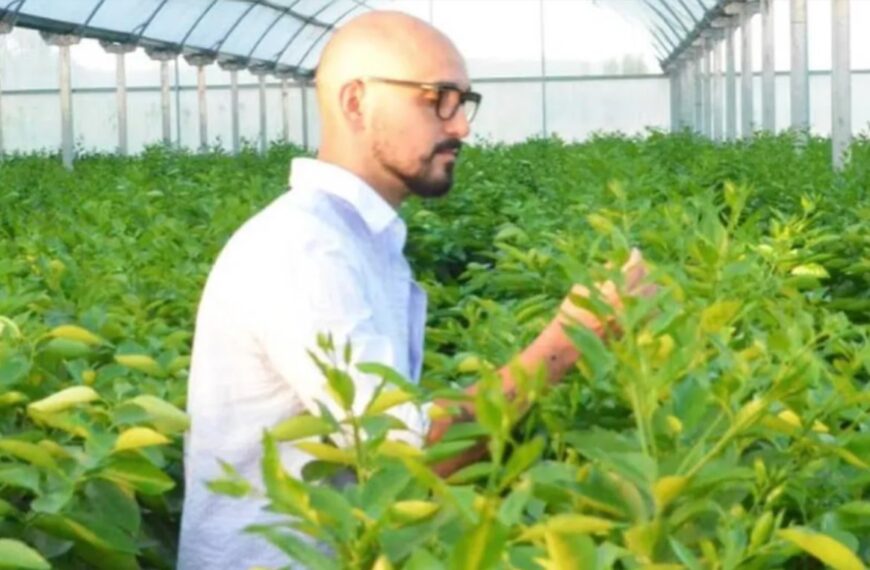 Abel Pintos: compró un campo de 93 hectáreas para su proyecto de aceite de oliva y pistacho