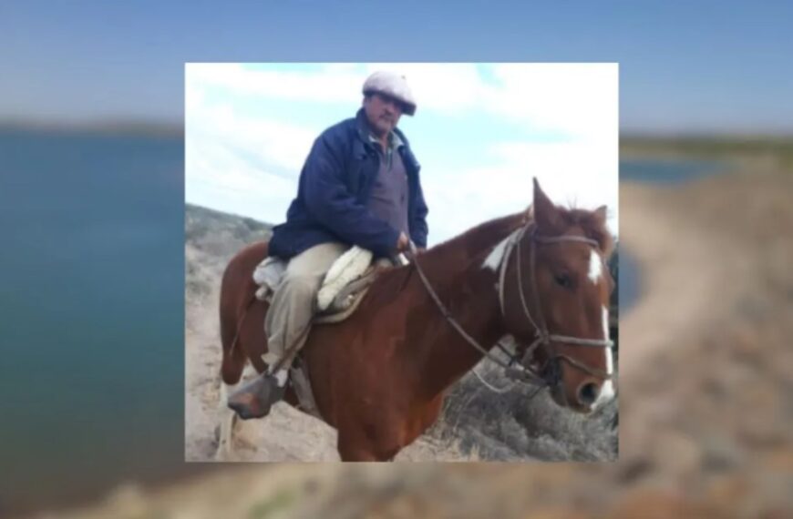 Un jabalí salvaje mató a un hombre y a sus cuatro perros en Mendoza