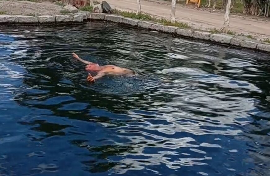 El video de la pileta termal en un pequeño pueblo de La Rioja que pocos conocen