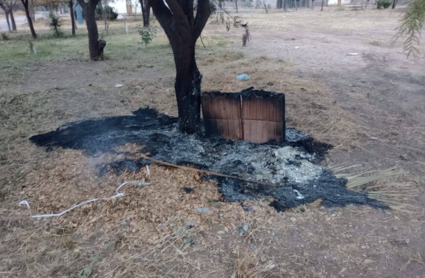 Indignación: vecinos de un conocido barrio de La Rioja hicieron refugios para los perritos de la calle, y alquien las incendió