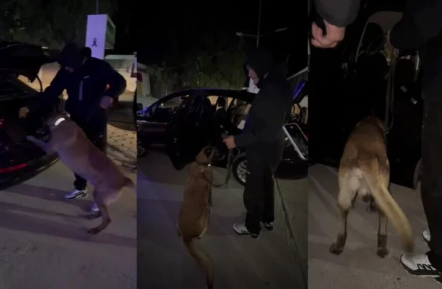 Atrapan con cocaína y marihuana a un sanjuanino, dos mendocinos y un riojano en Sarmiento