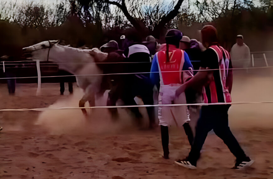 Lo más visto en la redes sociales: la muerte de una yegua en una carrera cuadrera, ¿deporte o maltrato animal?